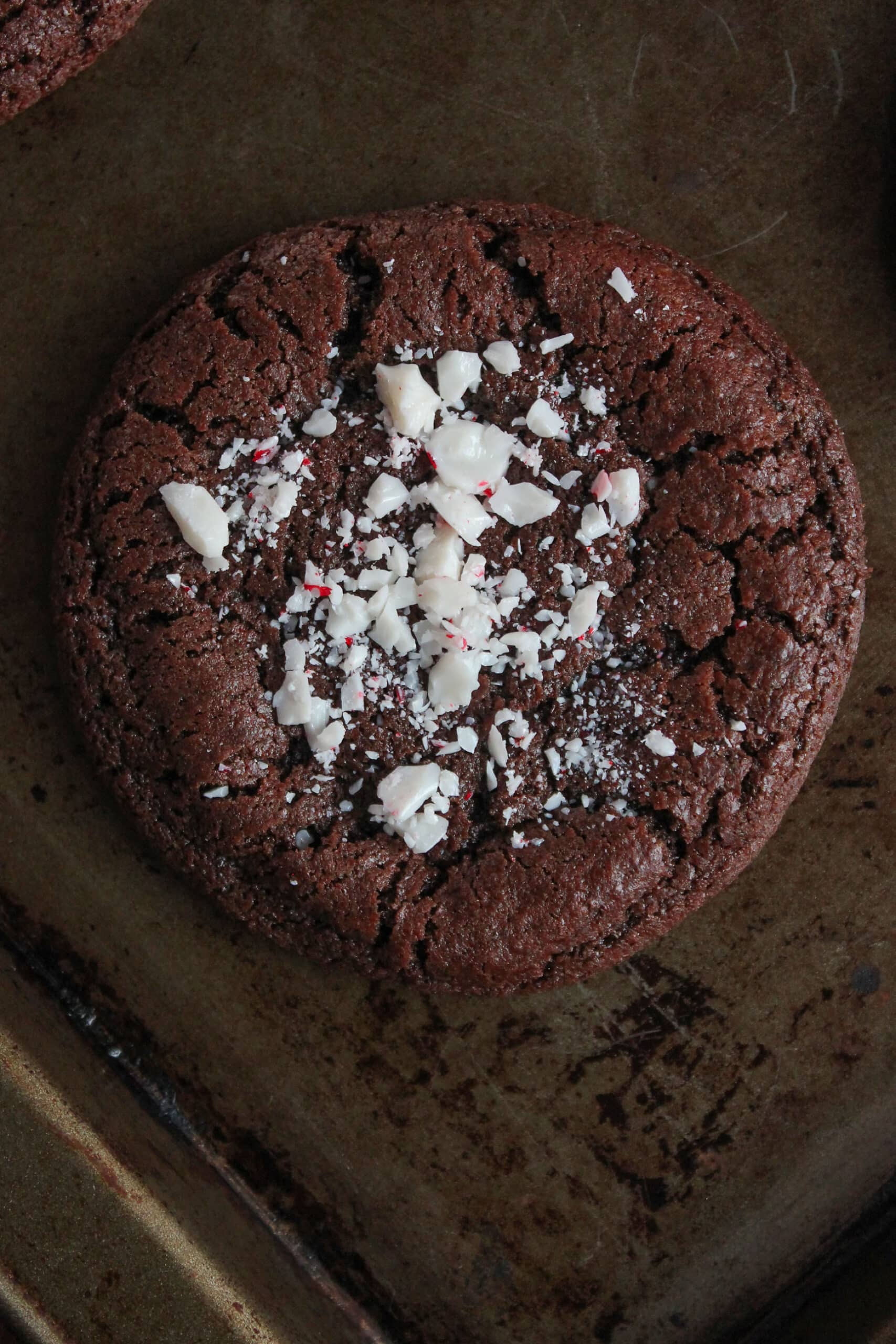 Overhead shot of chocolate candy cane cookie.