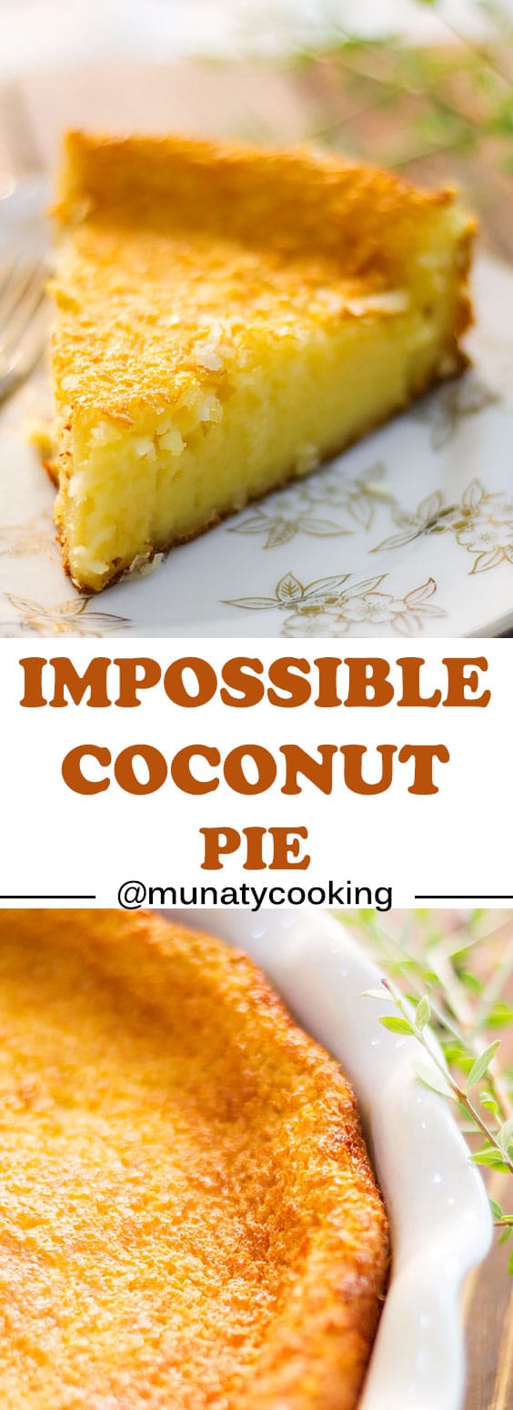 Impossible Coconut Pie is an easy and impressive dessert made in a blender. A layer of roasted coconut, followed by a creamy custard layer, and finally a light crust. #pie #impossiblecoconutpie #pierecipes #dessert.