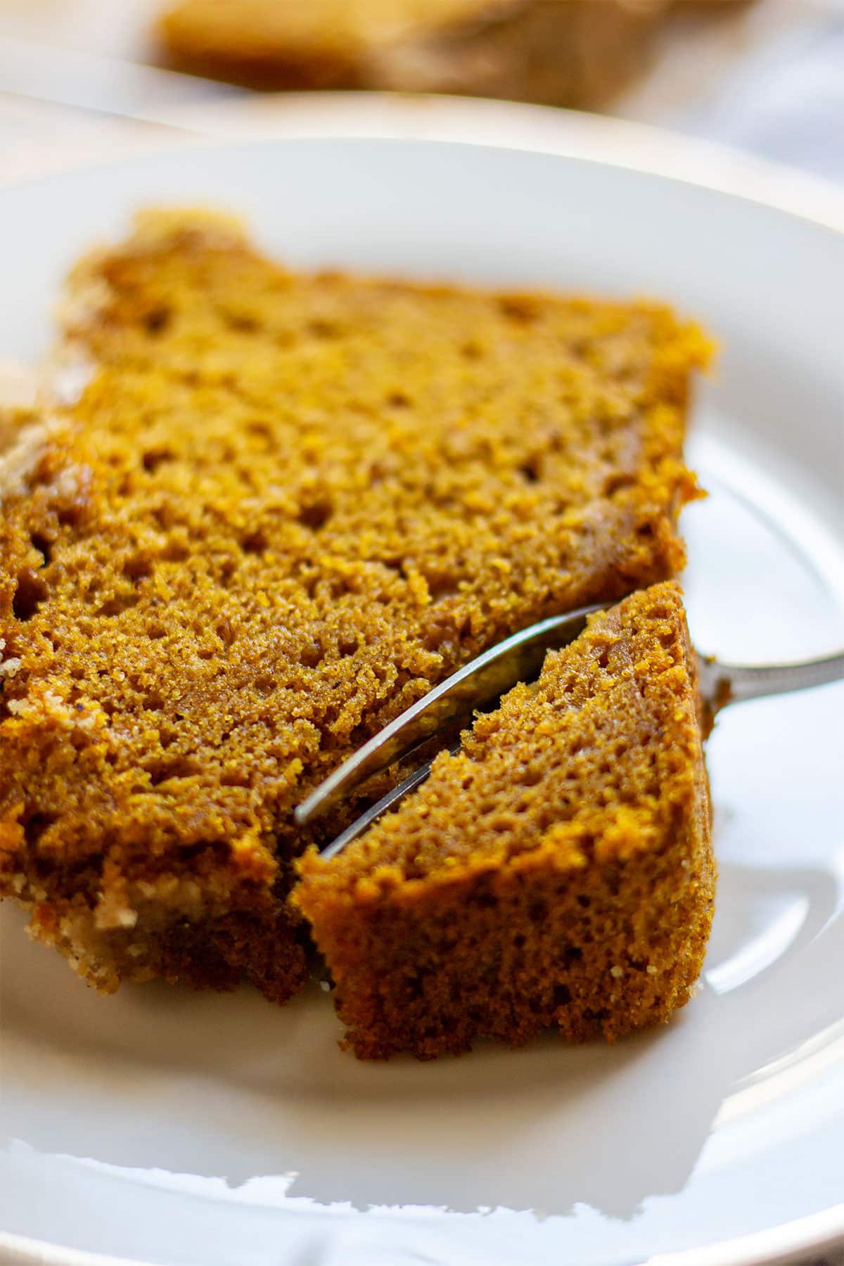 Close up image of a slice of pupmkin crumb cake.