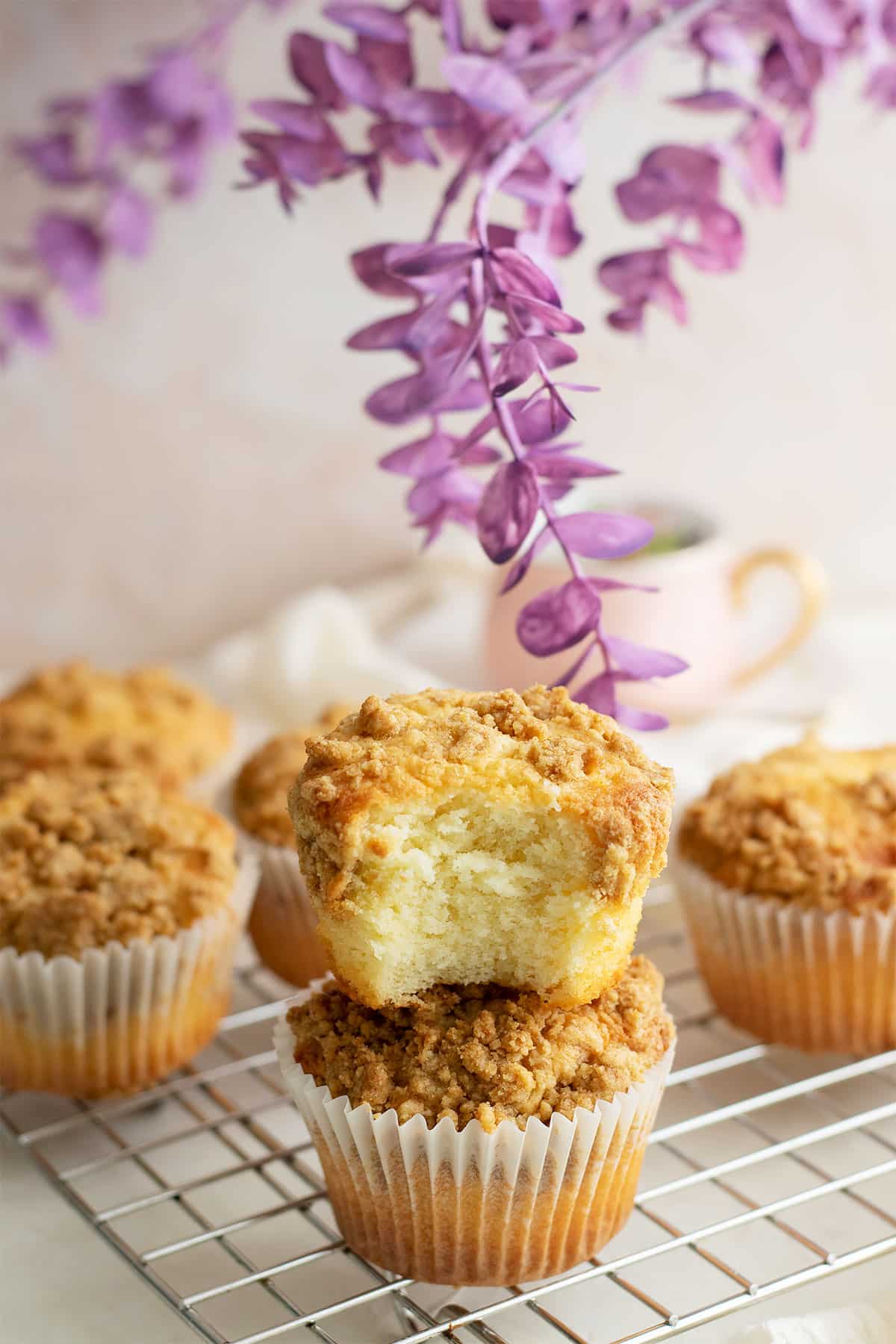 Yogurt Streusel Muffins Moist And Tender Delights Yogurt Streusel Muffins Moist And Tender Delights